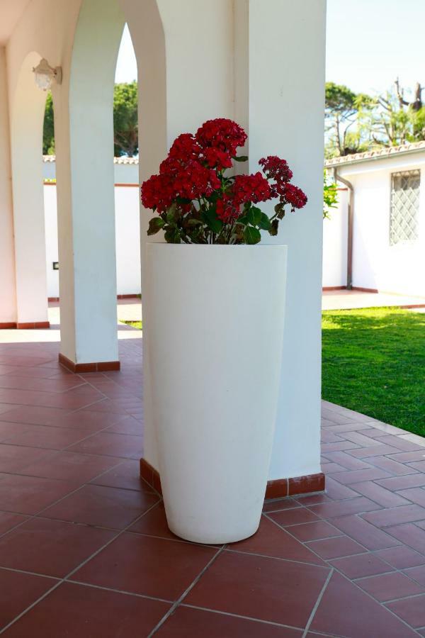 L'Ippocampo Guest House Sabaudia Exterior photo